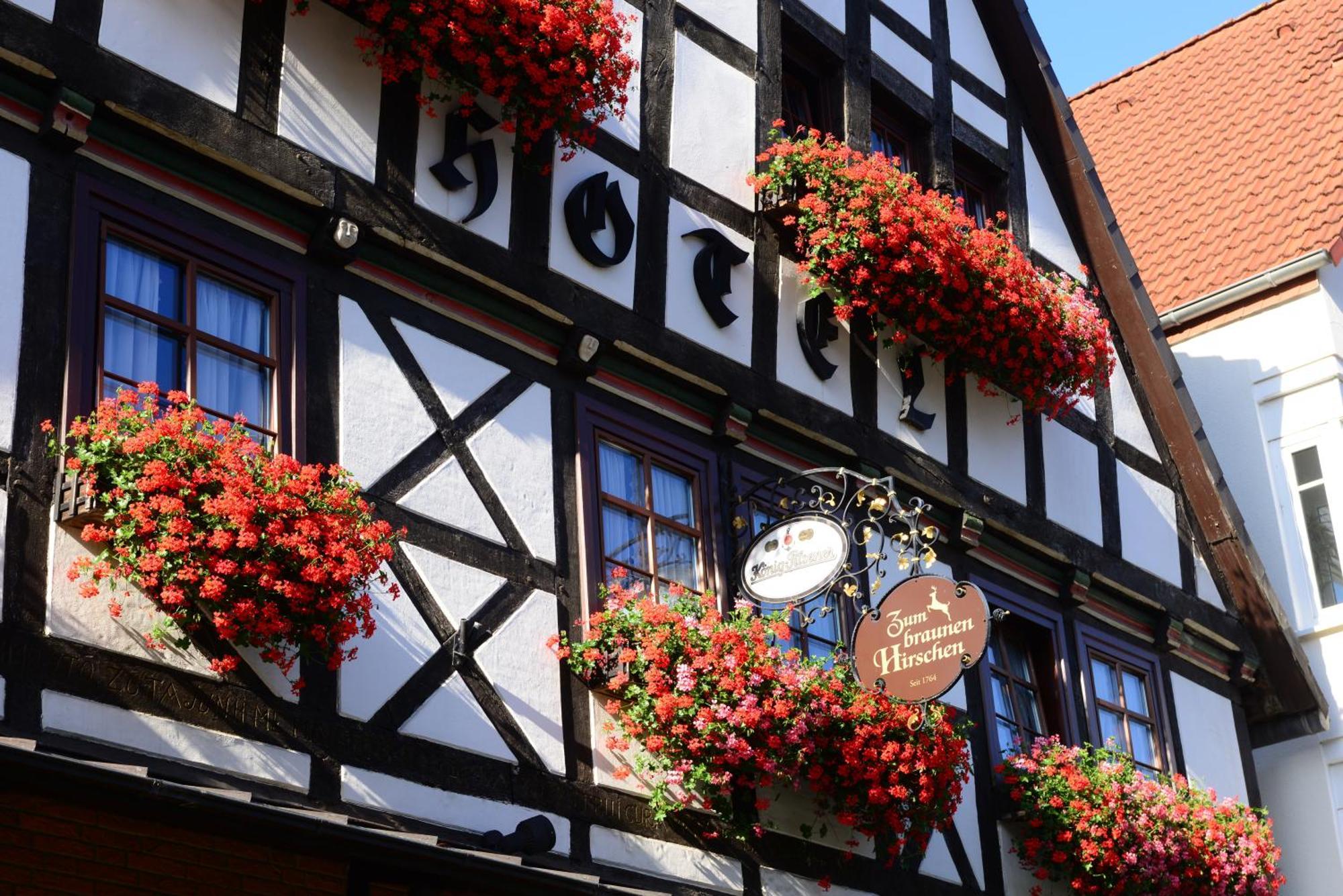 Hotel Zum Braunen Hirschen Bad Driburg Esterno foto